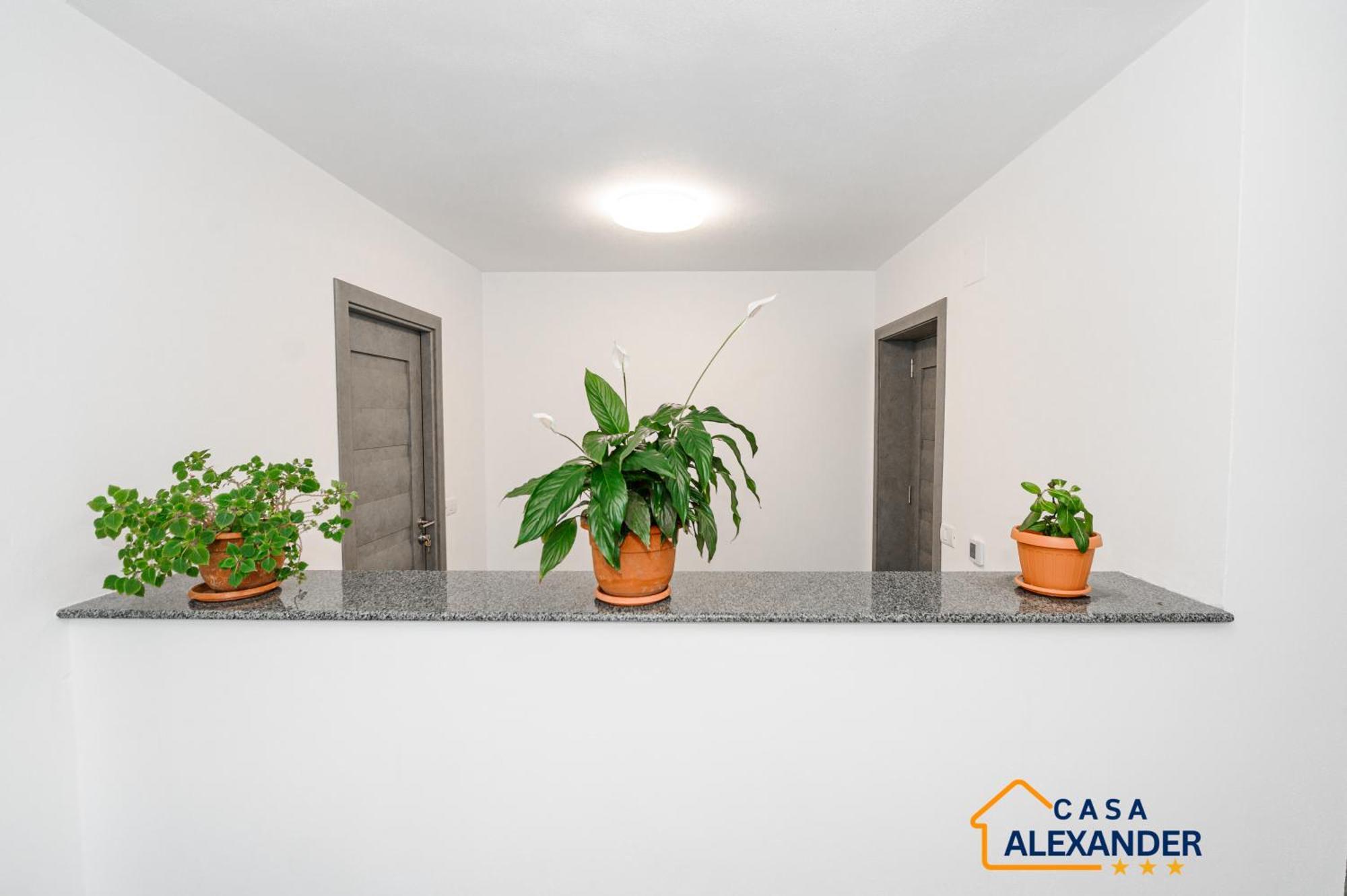 Casa Alexander Hotel Călimăneşti Kültér fotó